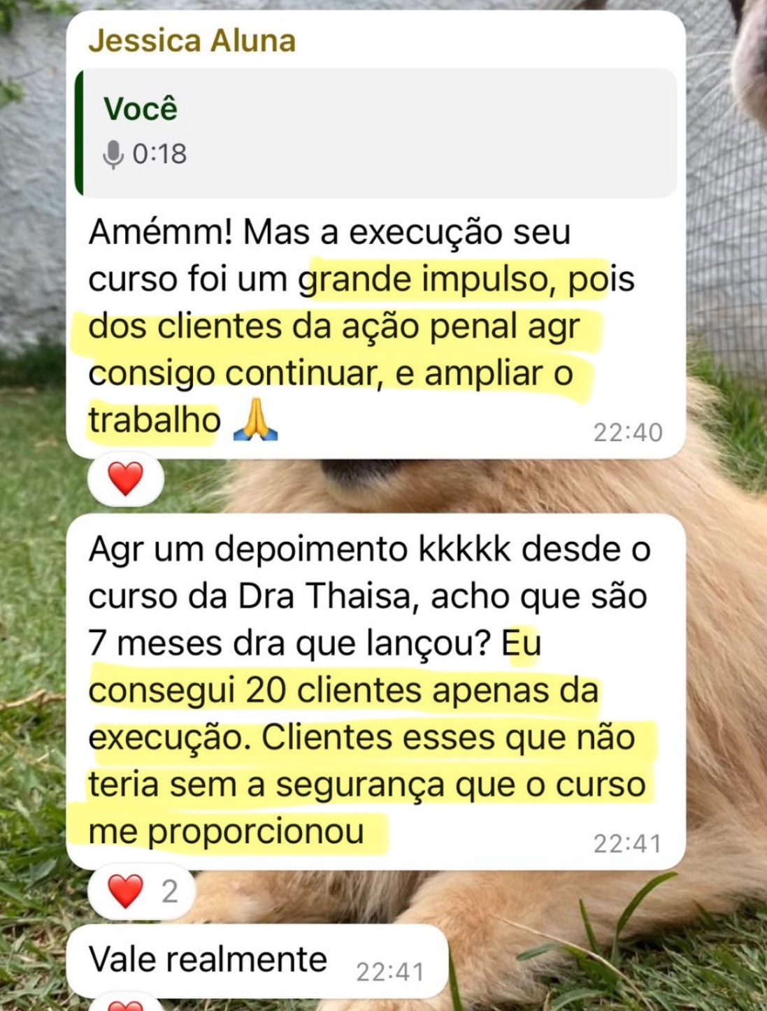 Feedback de aluno
