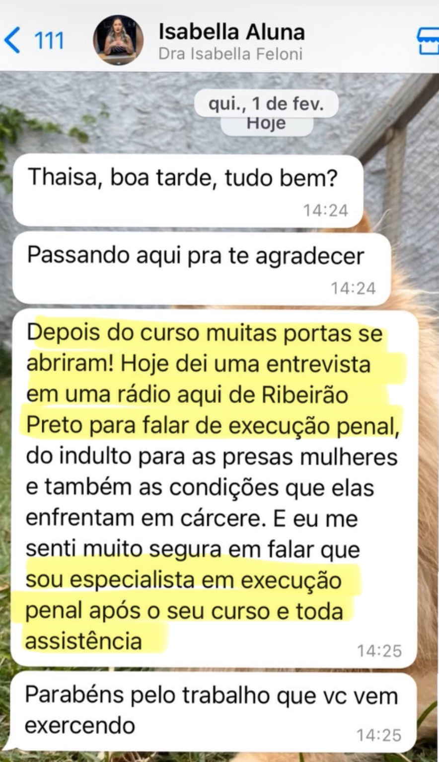 Feedback de aluno
