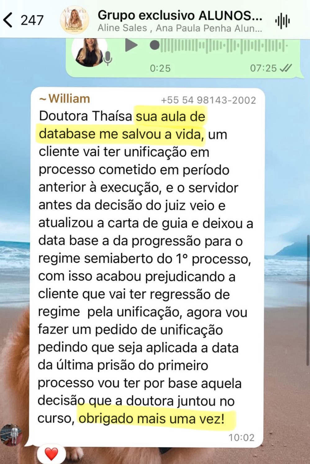 Feedback de aluno